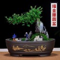 古韵轩紫砂盆