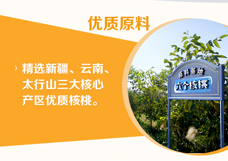 六个核桃 智汇乐源核桃乳 哈密瓜味 180ml*24罐 图4