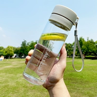 Стеклянная модель [прозрачная с чаем] серой 600 мл