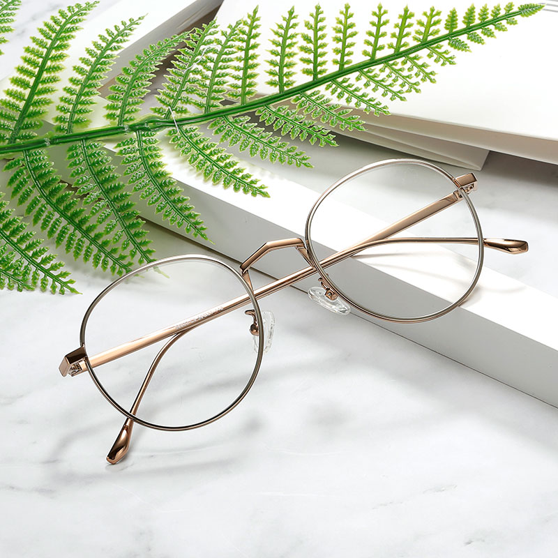 Montures de lunettes en Alliage cuivre-nickel - Ref 3139711 Image 5