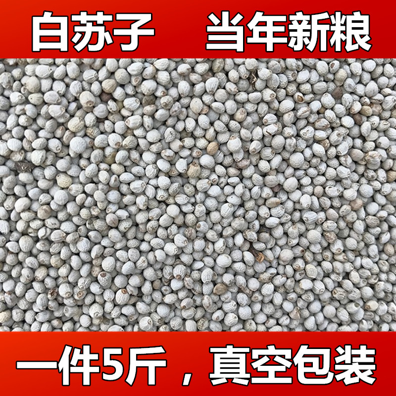 Suzi white Suzi soft Suzi bird food bird food parrot canary hibiscus bird oriole