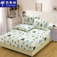 Giường cotton cho trẻ em 笠 đơn ga chun trải giường	