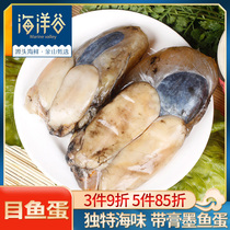 Ocean Valley East China Sea Cuttlefish Egg 500g Ningbo seafood specialties with cream salty egg salted Crover egg wine side dishes