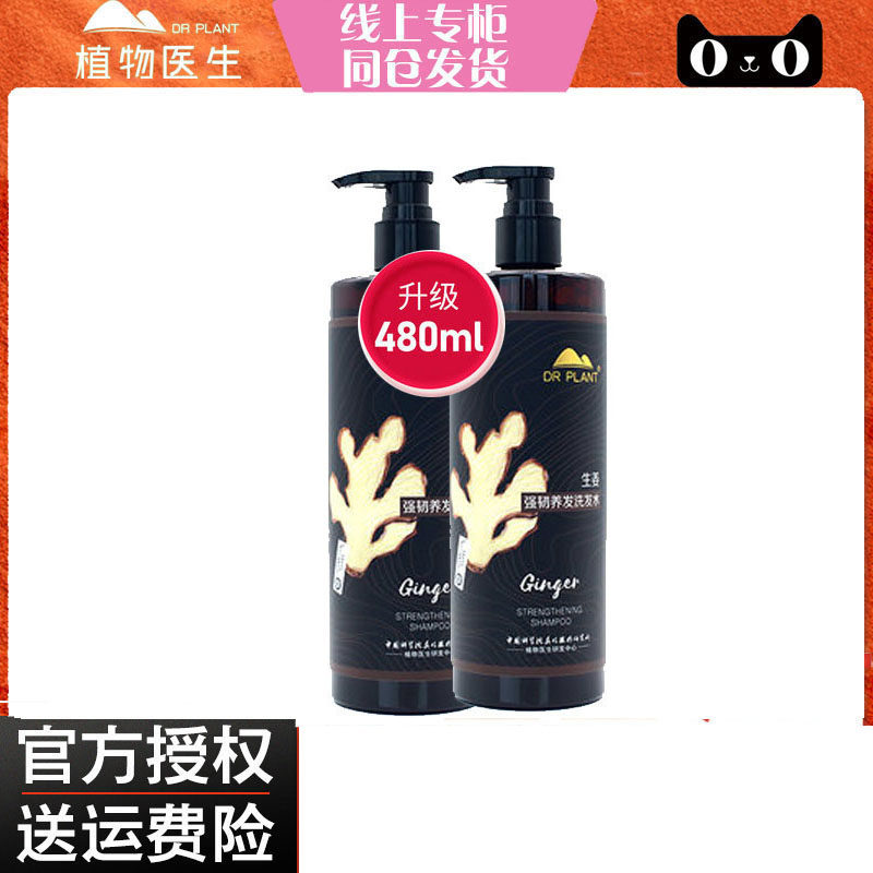 Special Cabinet Plant Doctor Ginger Strong Ligaments Hair Shampoo Shampoo Free Silicone Oil Nourishing Hair Net Refreshing Scalp