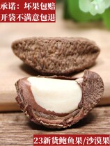 Nut original large abalone fruit desert fruit Xinjiang specialty 500g nut Brazil fruit snack for pregnant women