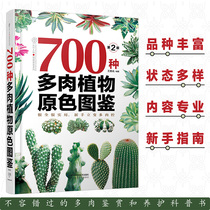 700 kinds of succulents primary color guide Second edition Succulents guide book of raising succulents Succulents breeding books Succulents breeding tutorials Succulents map Succulents map Succulents books Daquan Succulents