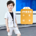 Summer trai ngắn tay Daok Suit Baby Boy chủ Childrens hoa girl show chiếc váy ra khỏi phong cách Anh. 