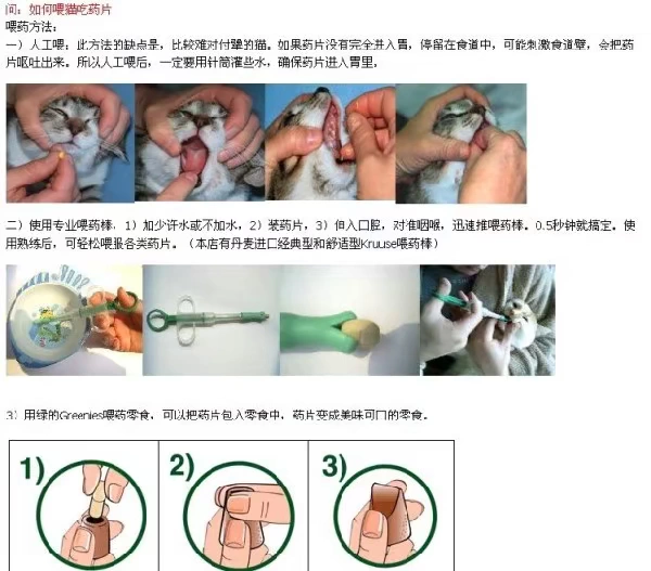 Pet chó thuốc trung chuyển mèo thuốc trung chuyển mèo chó thuốc dính chó và mèo với teddy lông thuốc trung chuyển - Cat / Dog Medical Supplies