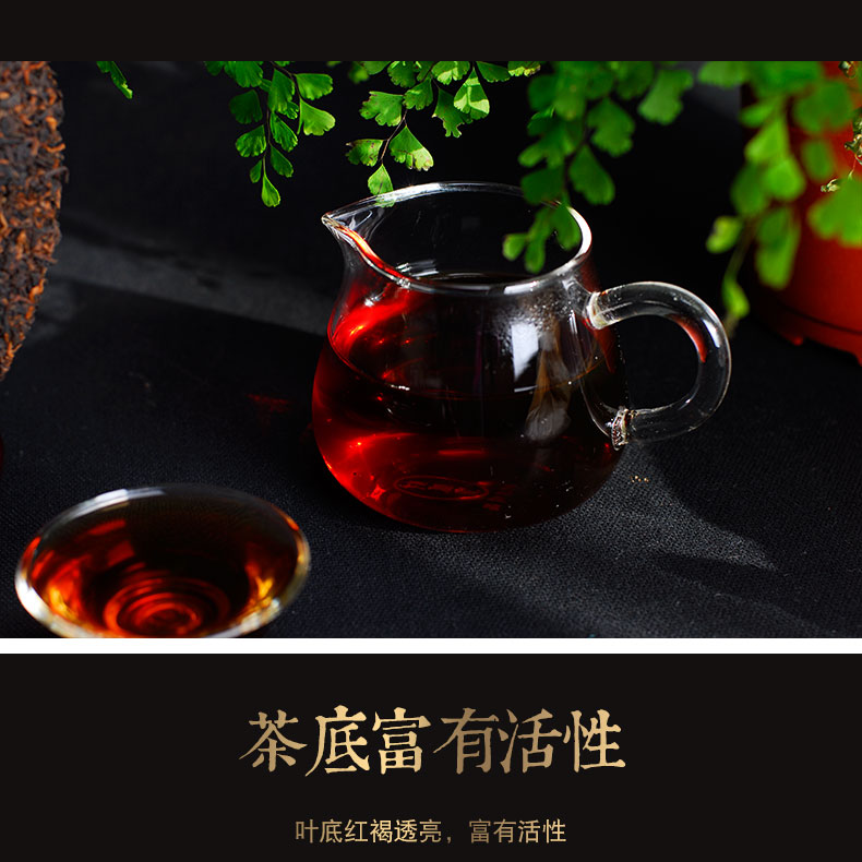 兰之元 9年老料 老班章金芽普洱熟茶 357g 图8