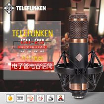 Telefunken de Law Wind root CU-29 tube microphone recording studio professional recording microphone microphone