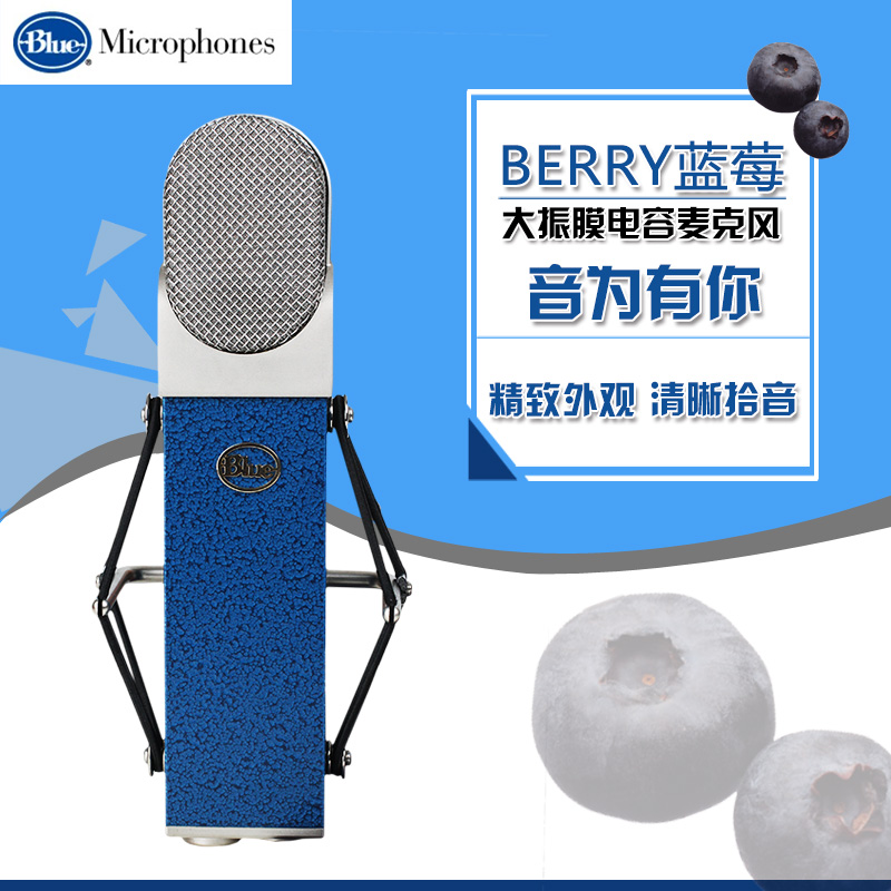 Blue BLUEBERRY blueberry studio dedicated large shock film condenser microphone microphone spot