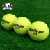 Huấn luyện viên quần vợt loại một người chơi vợt tennis head 2020 Quần vợt