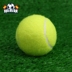Đào tạo người mới bắt đầu mặc quần áo giải trí tennis người mới bắt đầu đào tạo bóng tập luyện đơn [ba Pack bóng tennis dunlop ao Quần vợt