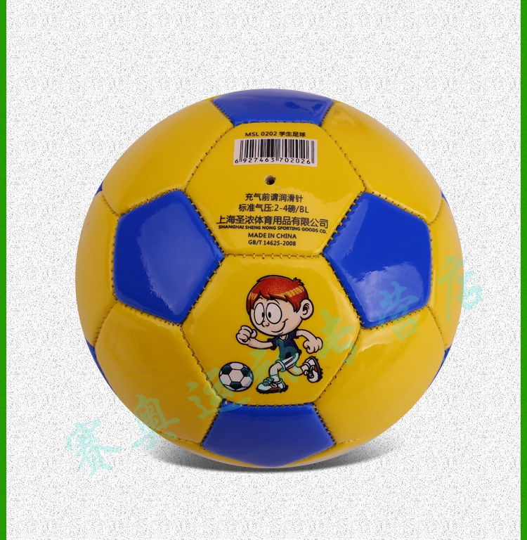 Ballon de football - Ref 6839 Image 22