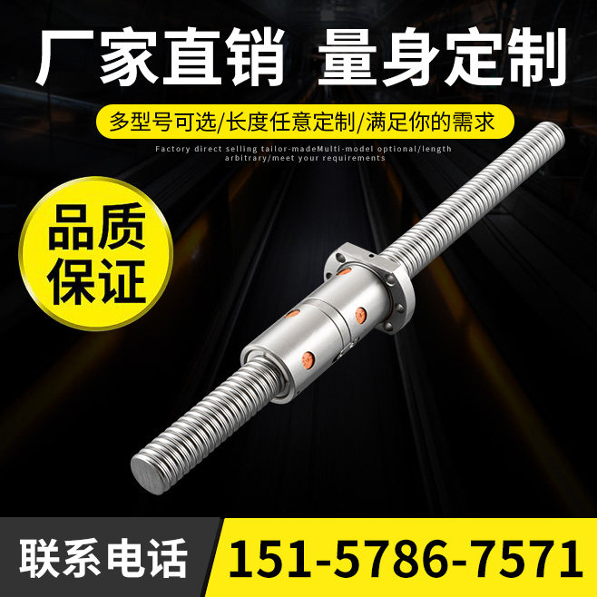 Double nut ball screw screw DFU1605 2005 2510 4010 extended mother ball screw pair