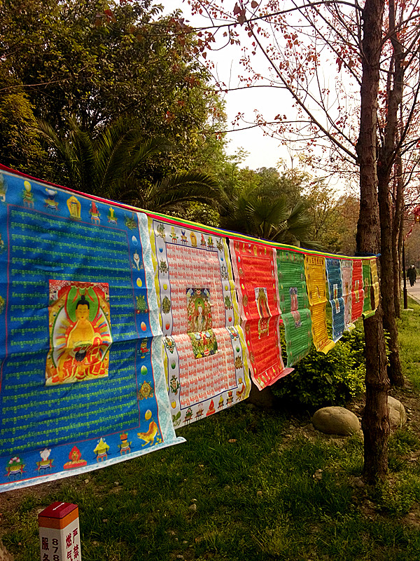 Tibetan Buddhist satin boutique 10 all-in-one color print warp sera 28x35cm]