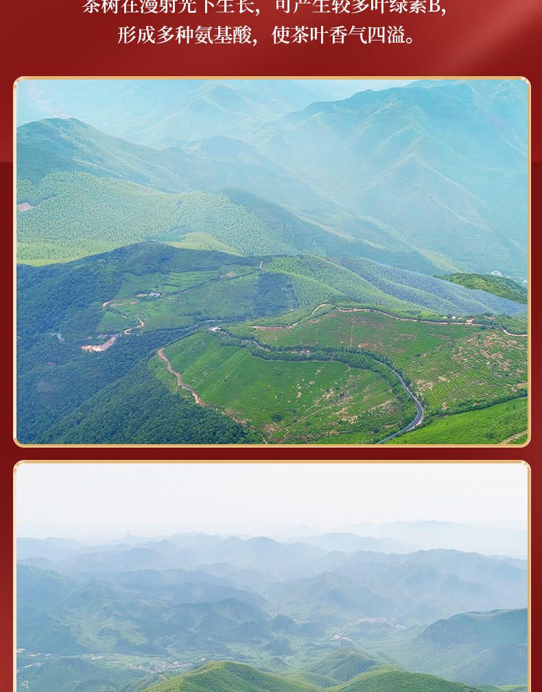 15年有机认证 三园釜托 有机王位红茶 2021新茶 30g罐装 双重优惠折后￥6.9包邮