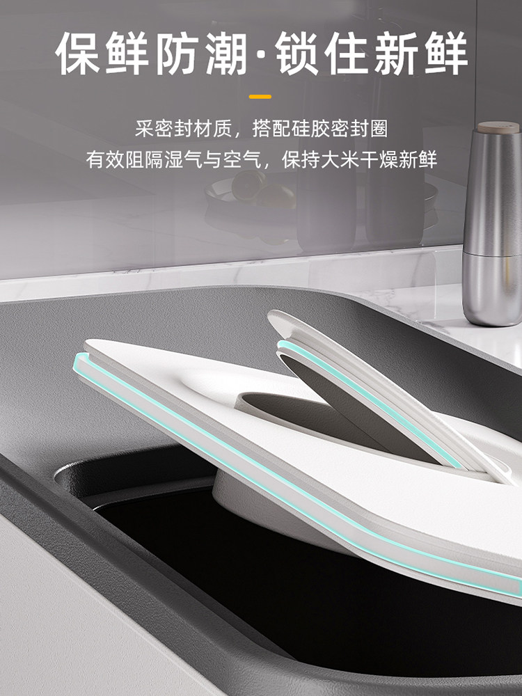 Japanese Imported Measuring Rice Container for Home Use, 2025 New Model Rice Storage Container, Quantitative Rice Dispenser, Press-Type Rice Bin