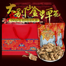 Cicada flower wild 2020 new goods 250g cordyceps powder Know the flower golden silkworm flower Dabie mountain buy 1 gift