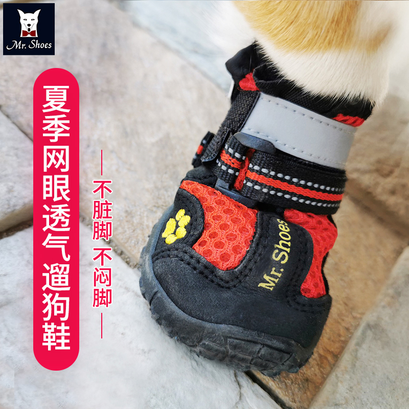 🐾狗狗鞋凉鞋套装：给毛孩子的小脚丫最温柔的呵护！🐾