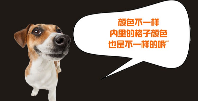 Mrshoes quần áo chó con quần áo mùa thu hơn gấu Xue Narui Teddy quần áo mùa đông Golden Retriever chó con quần áo thú cưng - Quần áo & phụ kiện thú cưng áo cho mèo con
