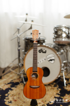 (Qin Lu music) Rainie C60 T60 23 inch 26 inch full single ukulele ukulele