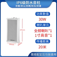 30W