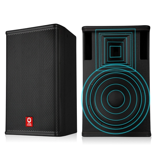 粤浪 ZY15 -дюймовый профессиональный большой конференц -зал Полный набор домашних караоке