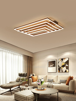 Nordic New Fashion Creative Personality Living Room Light LED Brief Modern Suction Dome Lamp Atmosphere Home Master Bedroom Lamp