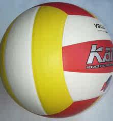 Ballon de volley-ball - Ref 2013598 Image 3