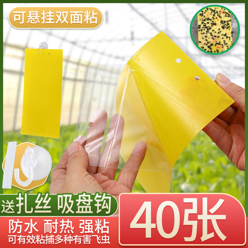 Sticky fly paper fly paste strong household small flying insect yellow board yellow sticky board double-sided trap orchard fruit fly mosquito