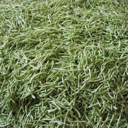 Hunan honeysuckle tea tea bag 500g bulk batch combination herbal tea bulk