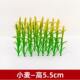 Miniature Model Simulates Crops Such as Cabbage, Wheat, Rice, Corn Stalks, and Rapeseed Flowers, Creating a Simulated Farm Scene
