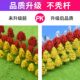 Sand Table Architectural Model DIY Handmade Materials Garden Scene Micro Landscape Tree Small Tree Trunk Finished Tree Set