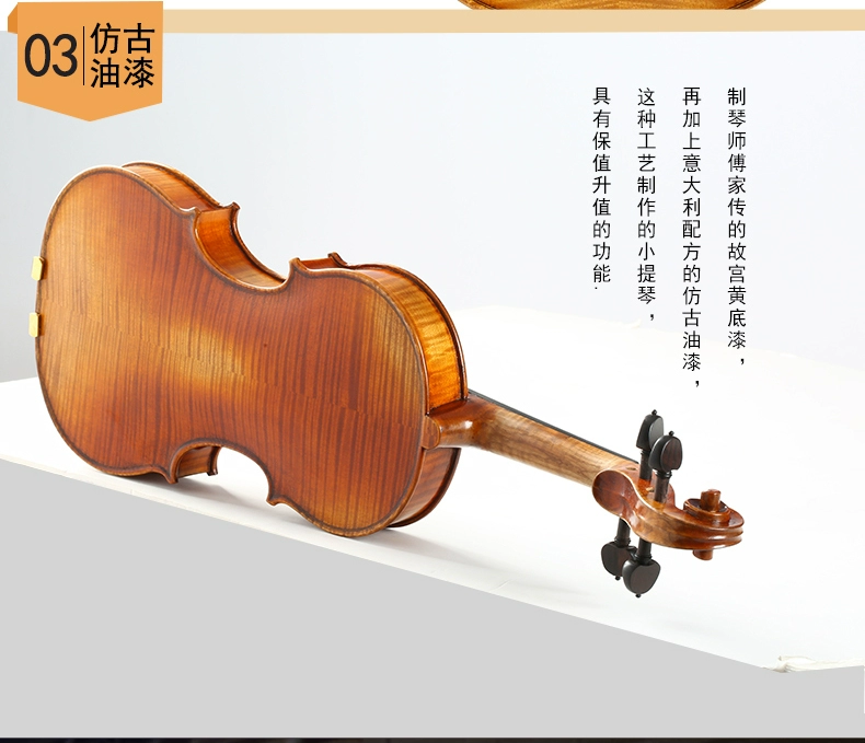 Nhạc cụ Qingge QV318 Hướng dẫn biểu diễn sân khấu Sun Xuefeng Master Pro-Guamel Guarari 1743 violin - Nhạc cụ phương Tây kèn