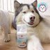 Bác sĩ khuyên dùng! Bonecare + Sữa canxi dinh dưỡng Đài Loan Pet Liquid Canxi Phương pháp mèo và chó Canxi 270ml - Cat / Dog Health bổ sung sữa cho chó con mới đẻ Cat / Dog Health bổ sung