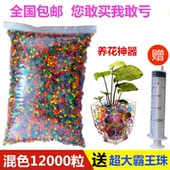 吸水珠吸水弹水球 七彩色植物吸水珠泡大珠七彩儿童玩具海绵宝宝