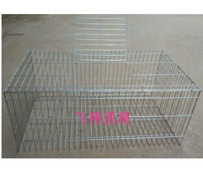 Breeding Chicken duck Rabbit pigeon cage Carrier pigeon wire cage Carrier pigeon Paint cage Matching cage Pigeon supplies and utensils