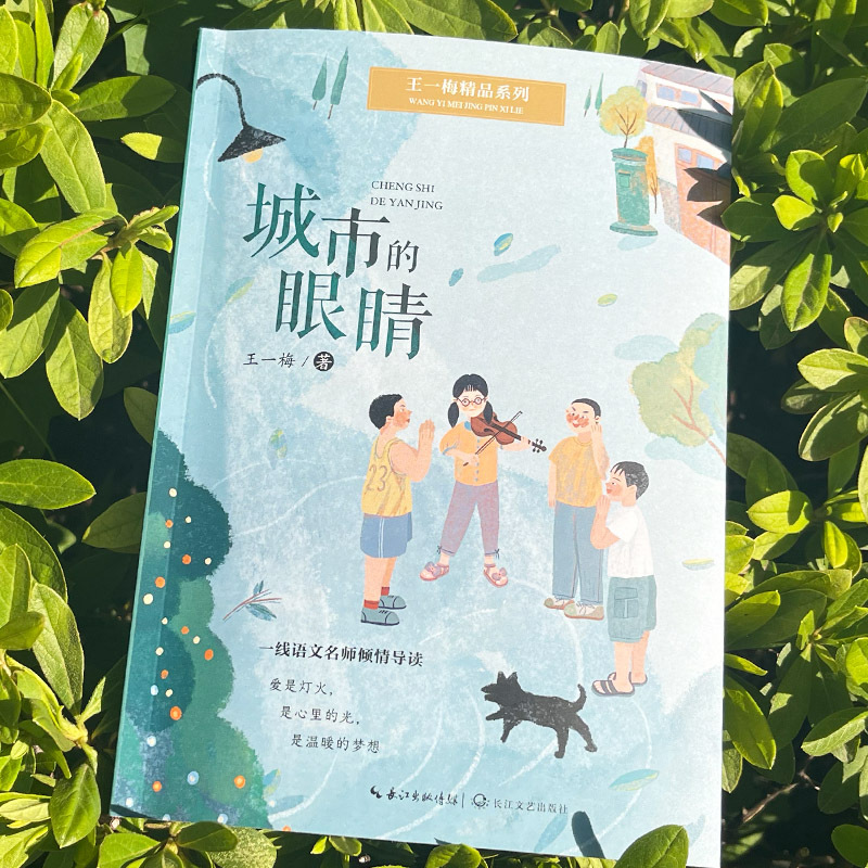 [Authentic New Book] Wang Yimei's Premium Series "The Eyes of the City" by Wang Yimei, Changjiang Literature and Art Publishing House 9787570229185