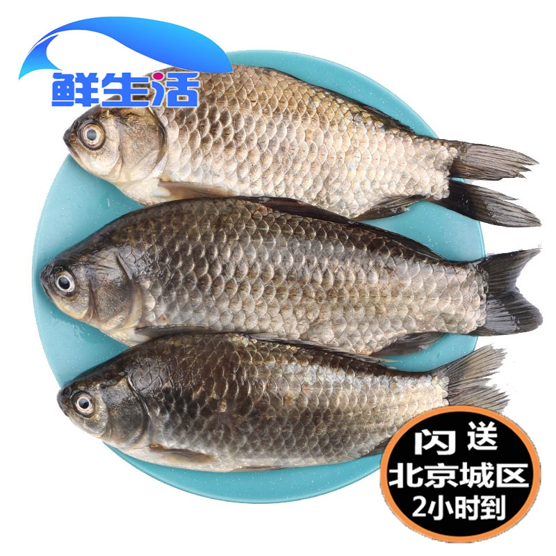 Article 2-3 1 catty Beijing Semi-sent Miyun Reservoir Pregnant Women to Cook Soup Alive Fish Reservoir Fish Spot