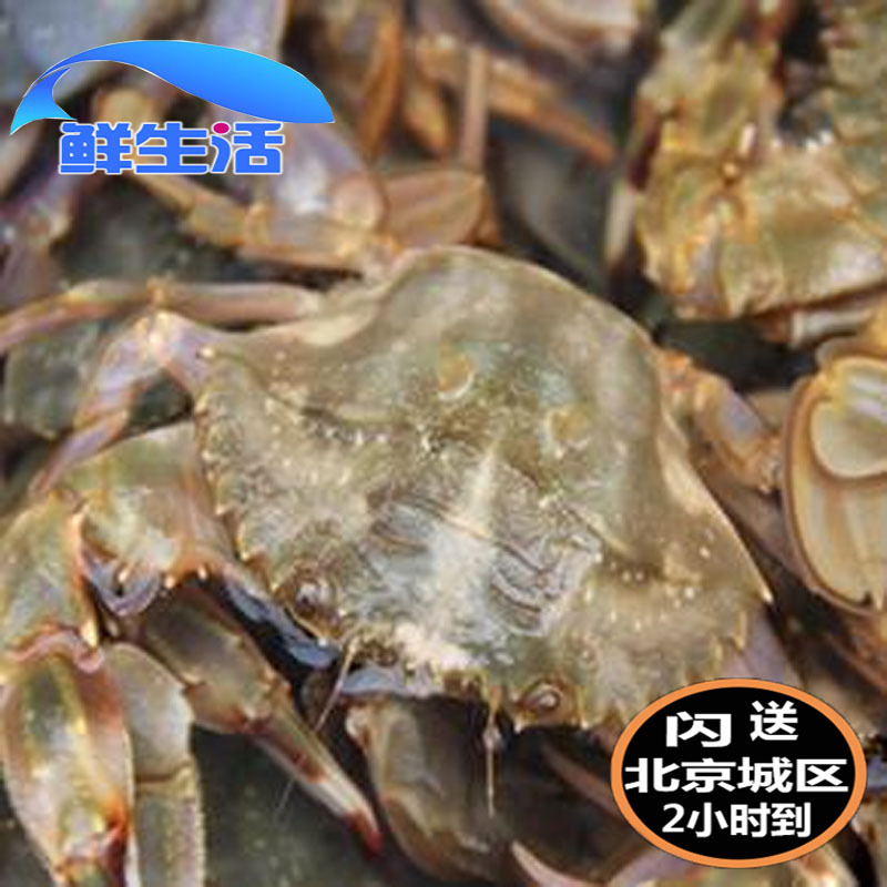 500g Beijing flash delivery fresh flower cover crab sea crab sea rainbow crab red armor red stone crab seafood aquatic spot