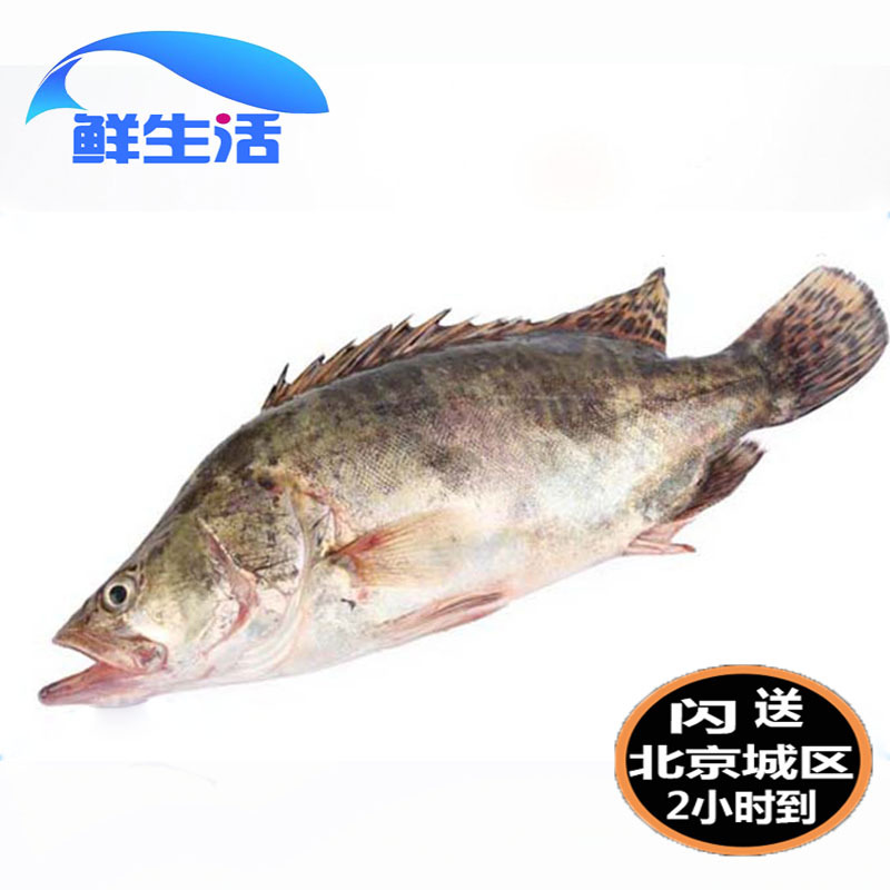 1 5 catty pieces of fresh seafood fresh seafood mandarin fish seafood aqua squirrel Gui fish spot