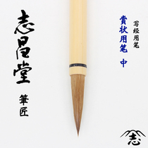 Imported from Japan Zhichangtang pen for commendation high-end brush for practicing small regular script and painting four treasures of the study