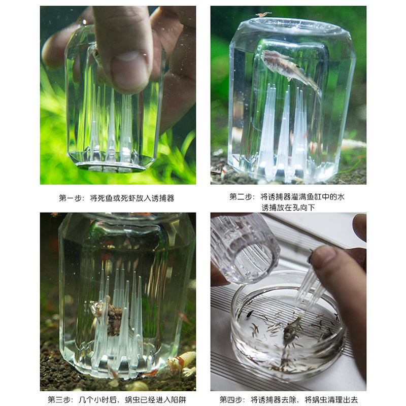 Worm trap trap snail leech trap glass catch pen suction trap snail