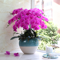 Large feel Phalaenopsis simulation flower ornaments Living room entrance high-end pendulum flowers pu decorative flowers Anti-real and fake flower ornaments