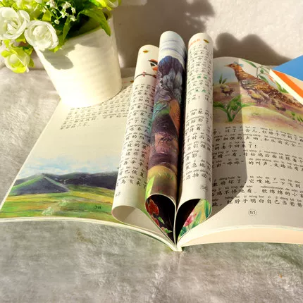 Раскраска, аудиокнига для учеников, классическое чтение для первого класса, со звуком, 1–2–3 года