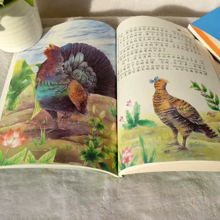 Раскраска, аудиокнига для учеников, классическое чтение для первого класса, со звуком, 1–2–3 года