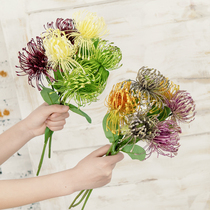 INS Decoration Emulation Needle Pad Flower Fake Flower Dining Room Furnishing Room Furnishing Indoor Table Top-Off Swing Piece Retro Plastic Flowers