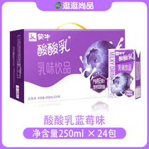 Mengniu yogurt blueberry taste 250mL * 24 sour and sweet nutrition balanced food promotion multi province
