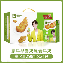 September production of Mengniu original wheat breakfast milk sterile brick 250mlX24 box discount promotion many provinces